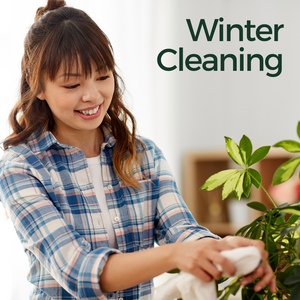 Dusting Off the Leaves: Winter Cleaning for Healthy Plants