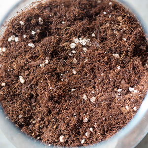 soilmix for aroids nutrition perlite