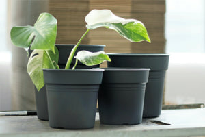 environmentally friendly plant pots Eco-Friendly Plant Pots | 100% Recycled Plastic